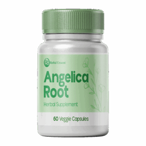 Angelica Root