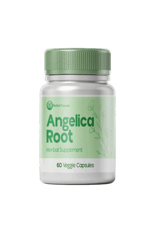 Angelica Root