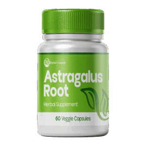 Astragalus Root